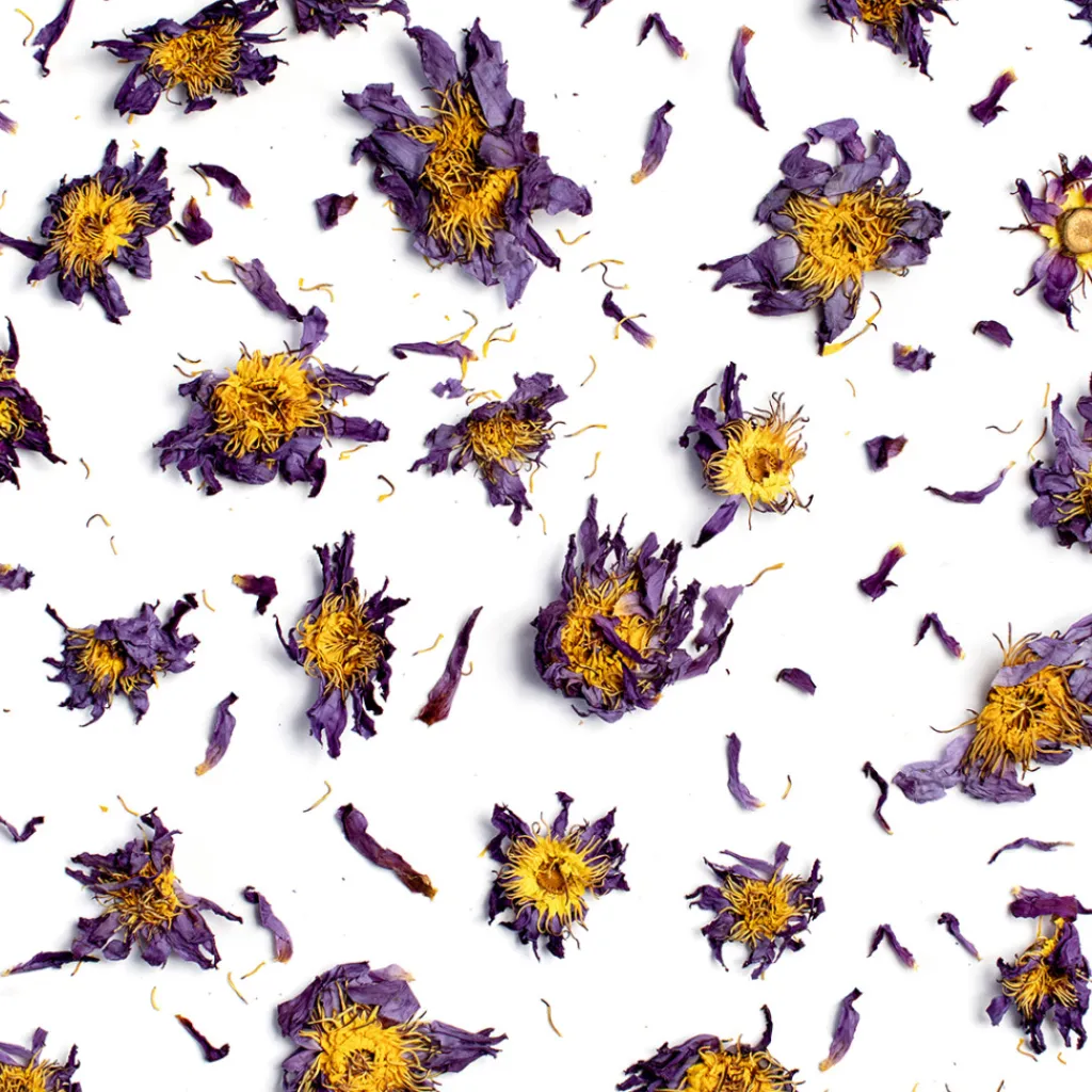 Terza Luna Erbe Officinali|Damiana In Foglie^Blue Lotus, whole flowers