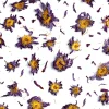 Terza Luna Fiori Eduli E Garnish^Blue Lotus, whole flowers
