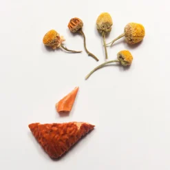 Terza Luna Camomilla Bio In Fiori^Camilla, the simple and good herbal tea