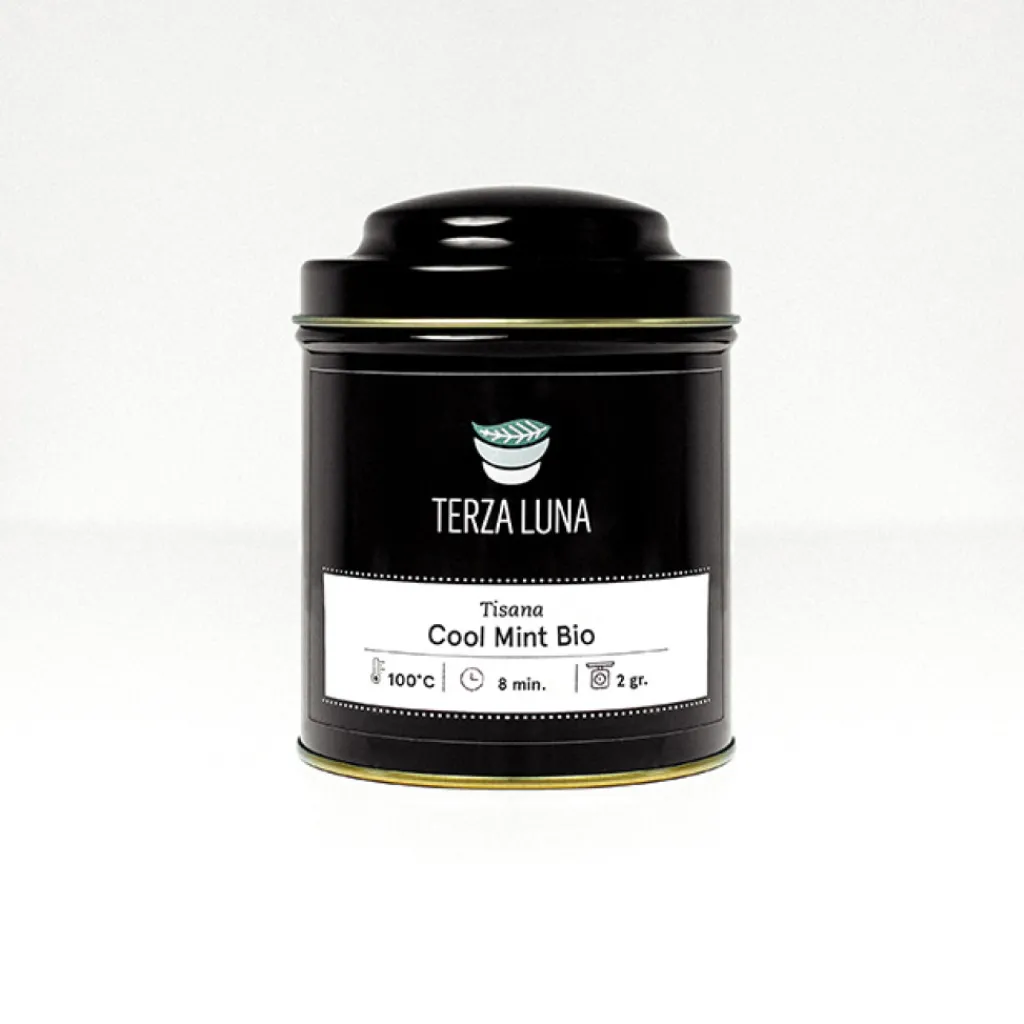 Terza Luna Tisane Alla Frutta^Cool mint bio