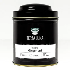 Terza Luna Tisane Alla Frutta Gusto Speziato^Ginger Up