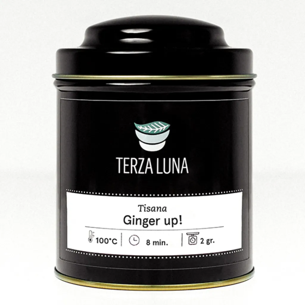 Terza Luna Tisane Alla Frutta Gusto Speziato^Ginger Up