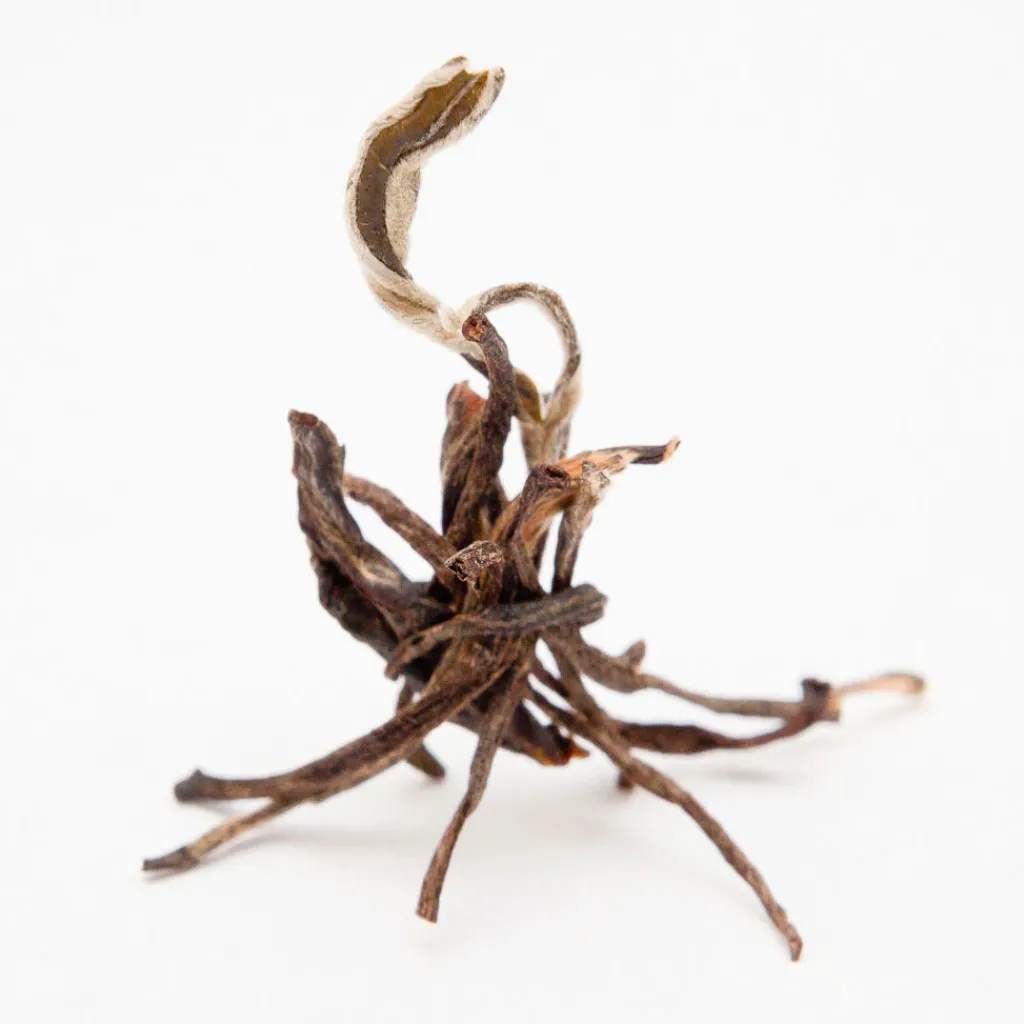Terza Luna Tè Nero^Golden Monkey black tea
