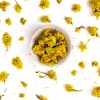 Terza Luna Erbe Officinali|Fiori Eduli E Garnish^Helichrysum whole flowers