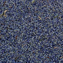 Terza Luna Erbe Officinali|Spezie^Lavender, flowers, Provence