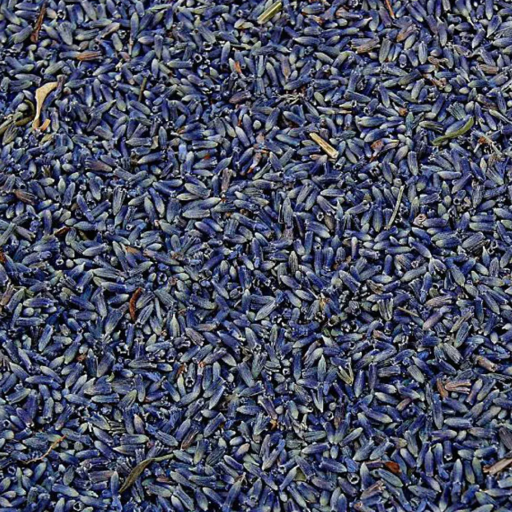 Terza Luna Erbe Officinali|Spezie^Lavender, flowers, Provence