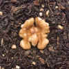 Terza Luna Tè Oolong^Oolong con nueces
