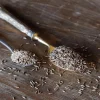 Terza Luna Spezie|Semi^Organic Cumin