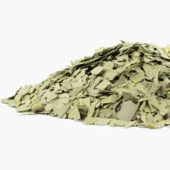 Terza Luna Erbe Officinali^Organic Eucalyptus Leaves