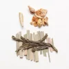 Terza Luna Tè Verde Aromatizzato^Organic Ginger and Citrus