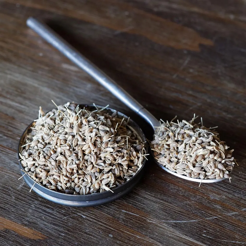 Terza Luna Spezie|Spezie Indiane^Organic green anise