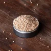 Terza Luna Semi|Spezie Europee^Organic yellow mustard seeds