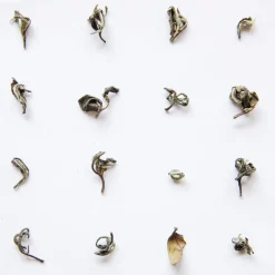 Terza Luna Tè Rari Premium^Oriental Beauty oolong Mr Hao