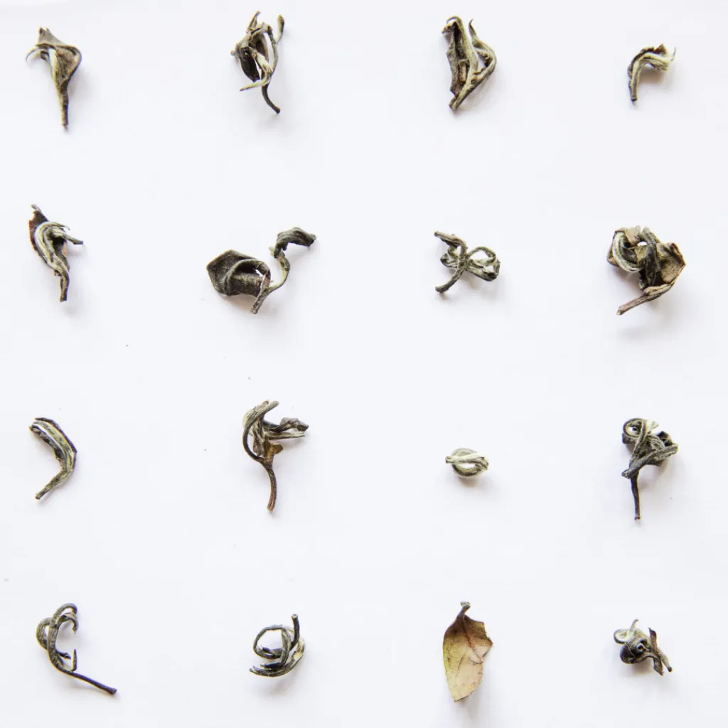Terza Luna Tè Rari Premium^Oriental Beauty oolong Mr Hao