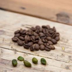 Terza Luna Caffè Aromatizzati^Pistachio Cream