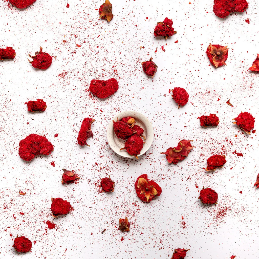 Terza Luna Erbe Officinali|Fiori Eduli E Garnish^Pomegranate Flowers
